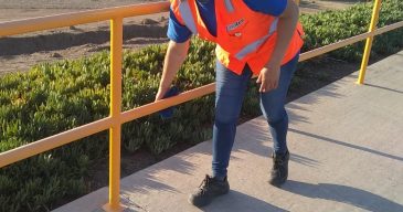 IMG-20190825-WA0029 1