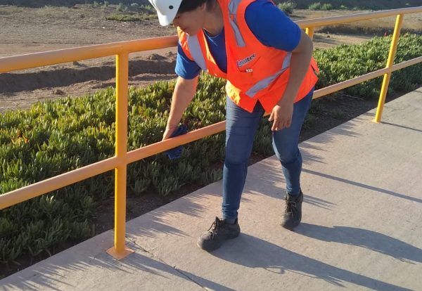 IMG-20190825-WA0029 1